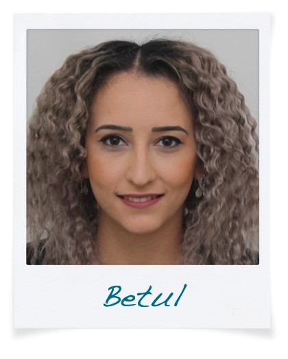 B. Demir